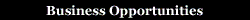 Business Opportunities