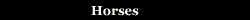 Horse  Classifieds